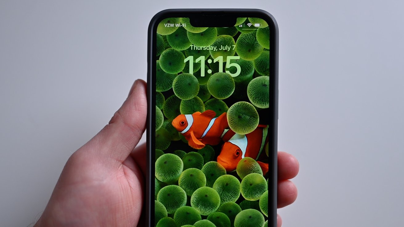 The new clown fish wallpaper