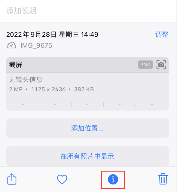 5 个 iPhone 小技巧：让拍摄和编辑照片更轻松