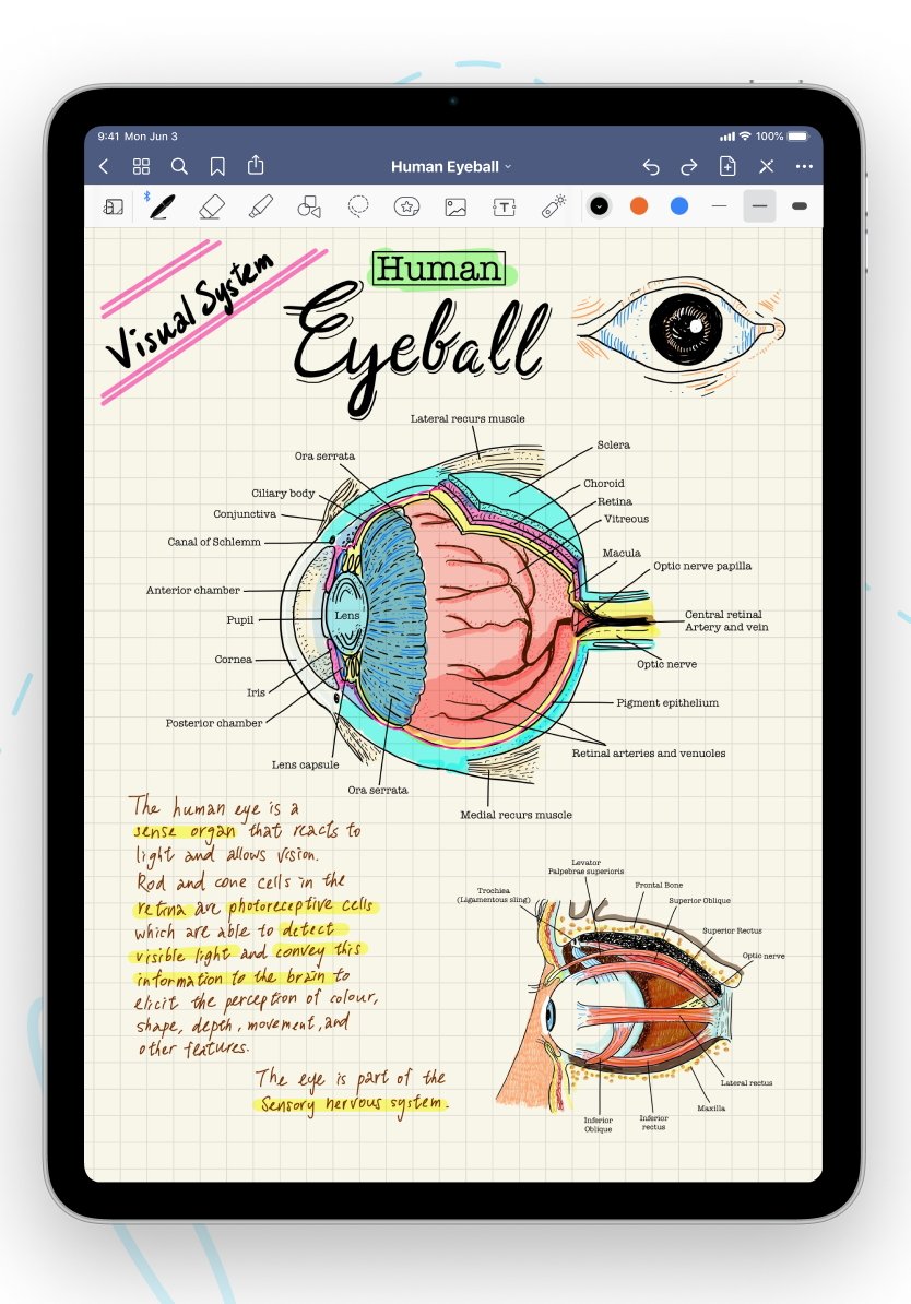 GoodNotes 5