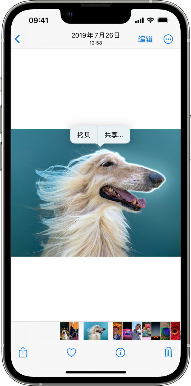 iOS 16 “一键抠图”功能支持哪些机型？