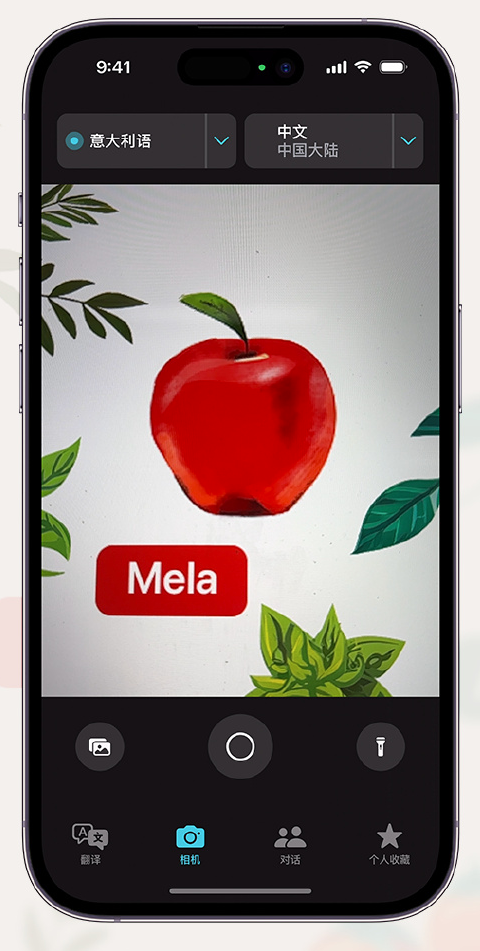 iPhone 小技巧：支持通过摄像头取景翻译文本