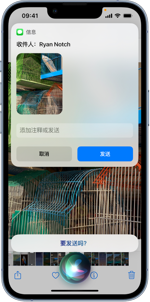 在 iPhone 14 机型中使用 Siri：了解 Siri 能帮你做什么