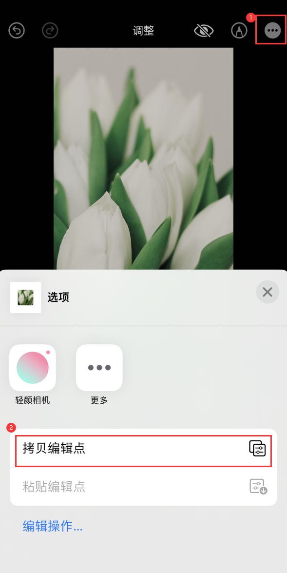 如何在 iPhone 上为照片添加富士滤镜效果？