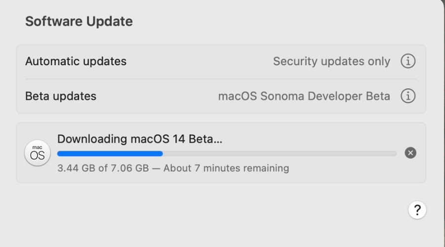 Once you allow beta updates, the process is the same for installing regular ones