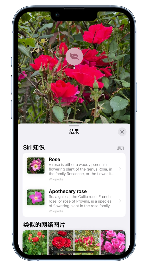 苹果 iOS 17“看图查询”功能使用方法