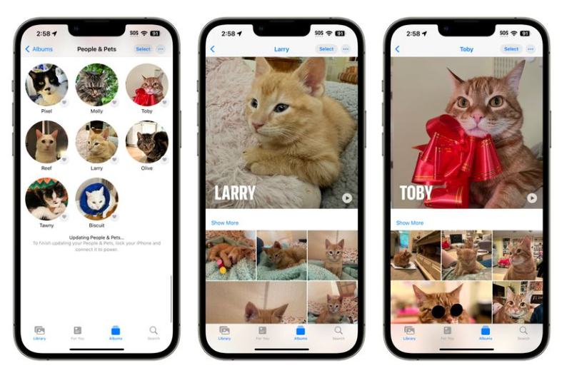 苹果 iOS 17 照片应用支持识别宠物：能够正确地分辨出两只橘猫