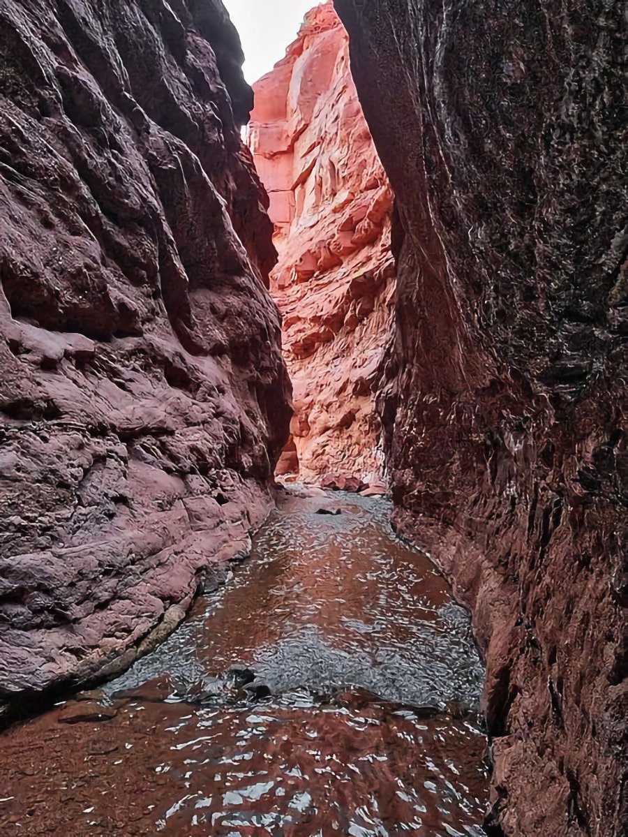 Flooding in Mary Jane Canyon, Utah. (Source: Grand County Sheriff's Search and Rescue)