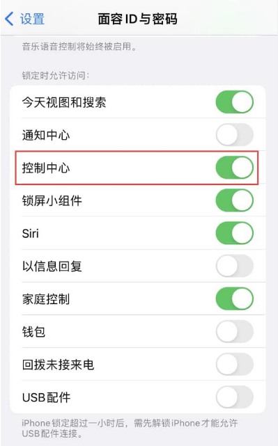 苹果iPhone手机无法在应用内使用控制中心怎么办？