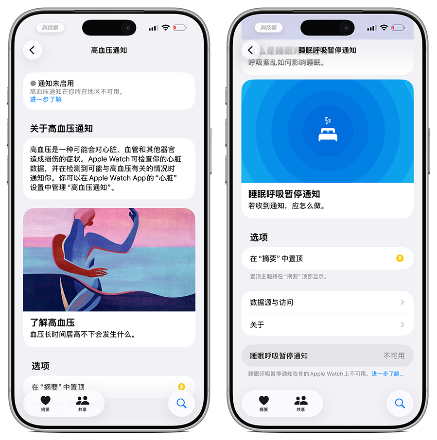 国行Apple Watch“房颤历史”功能正式上线：四年等待终落地