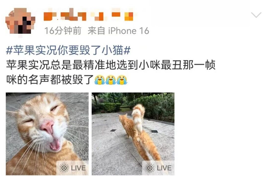 苹果原生功能又爆雷：输入法联想词离谱，实况照片专拍最丑瞬间