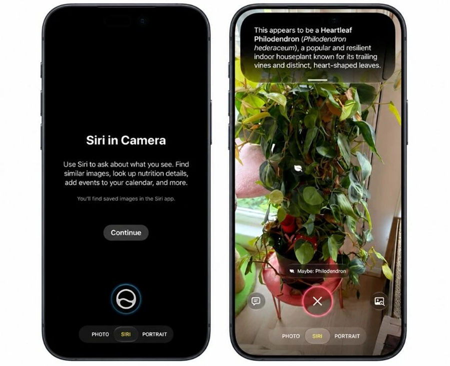 Apple 宣布 Siri AI ,功能详解汇总,国行暂不支持 Apple 宣布 Siri AI ,功能详解汇总,国行暂不支持